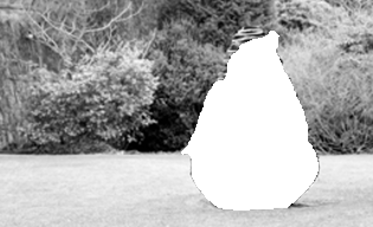 Recovered Figure-ground Segmentation - Monochrome (739x450), Png Download