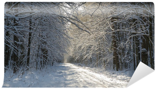 Snow Bridge (400x400), Png Download