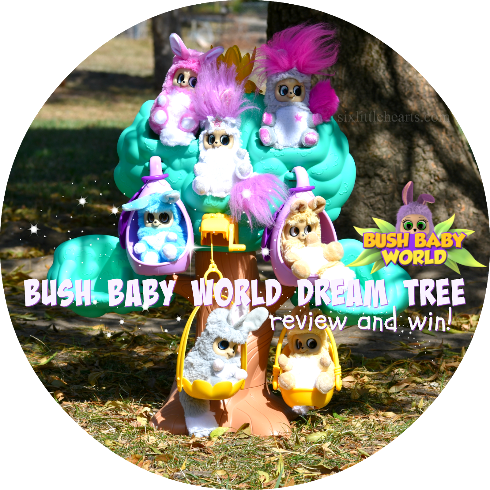 Jasnor Bush Baby World Dream Tree Review And A Bush (1600x1600), Png Download