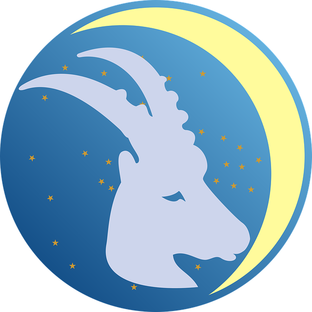 Zodiac - Capricorn - Zodiac Sign For January 3 (640x640), Png Download