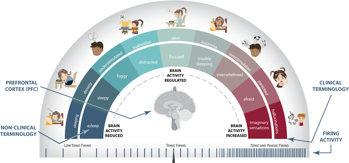 Use This Guide And The Patient Protractor Together - Circle (1264x855), Png Download