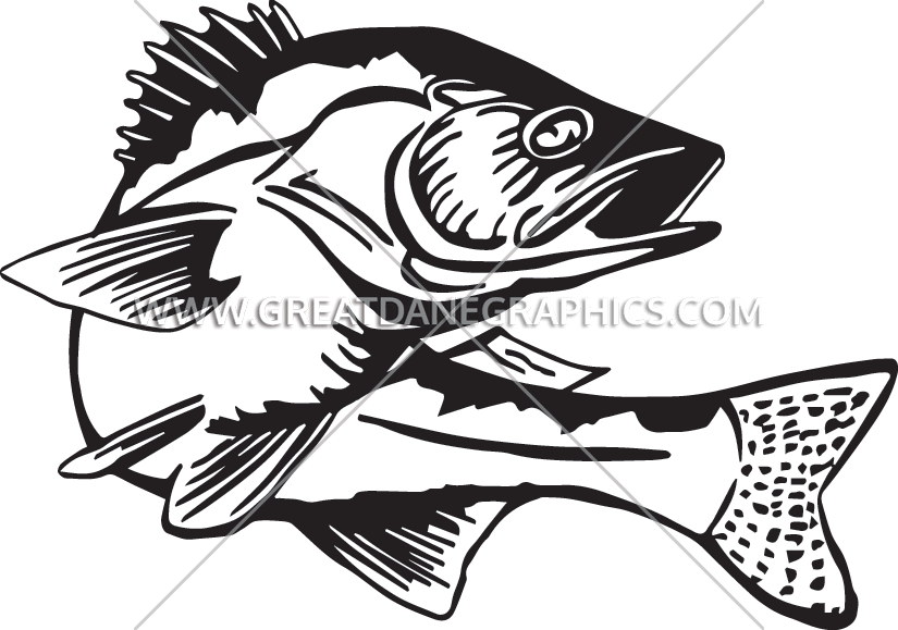 Production Ready Artwork For - Walleye Fish Black And White (825x579), Png Download