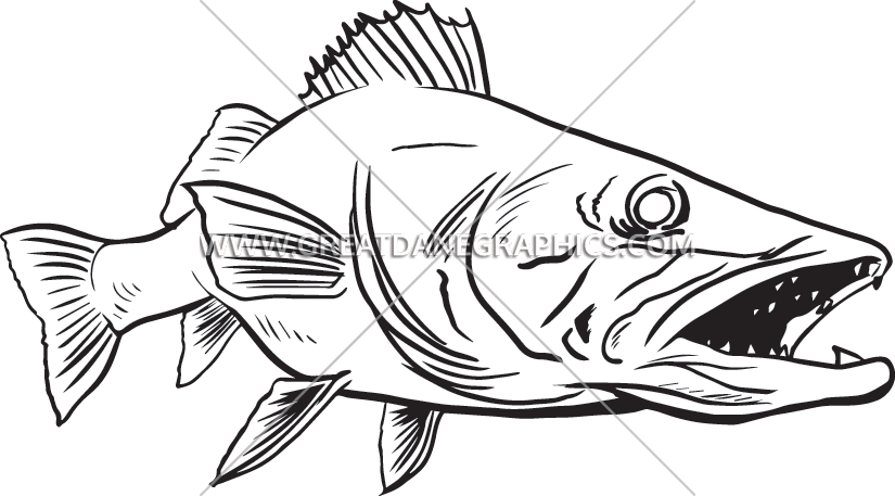 Graphic Freeuse Production Ready Artwork For T Shirt - Wall Eye Fish Drawing (825x457), Png Download