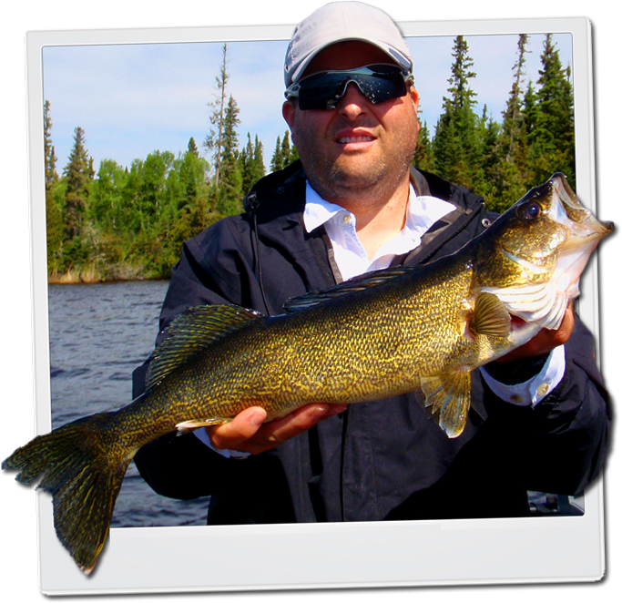 Walleye Tips, Baits & Lures - Pull Fish Out Of Water (683x662), Png Download