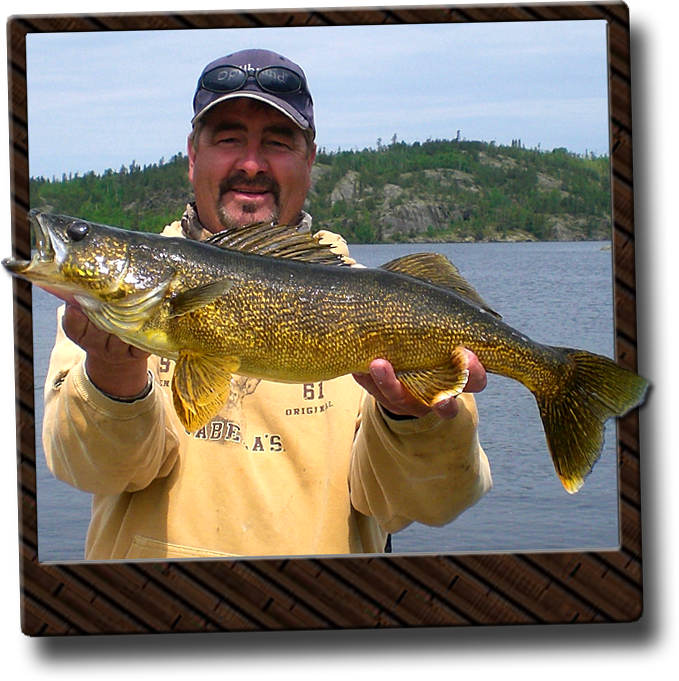Ontario Walleye Fishing - Pull Fish Out Of Water (679x681), Png Download