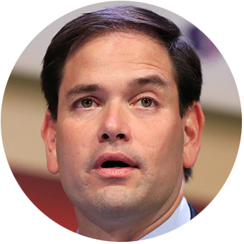 Rubio - Plate (350x350), Png Download
