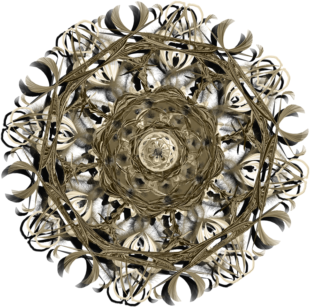 Stock.xchng (1280x1280), Png Download