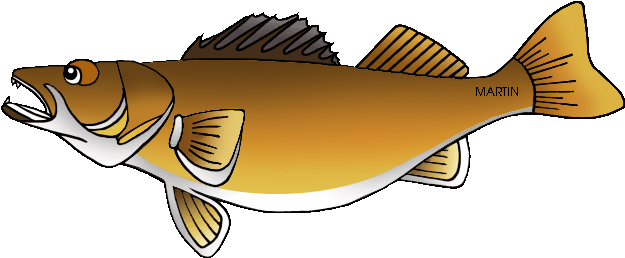 Minnesota State Fish - Walleye (648x280), Png Download