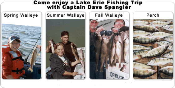 Come Enjoy A Lake Erie Charter Fishing Trip For Walleye - Lake Erie (575x300), Png Download