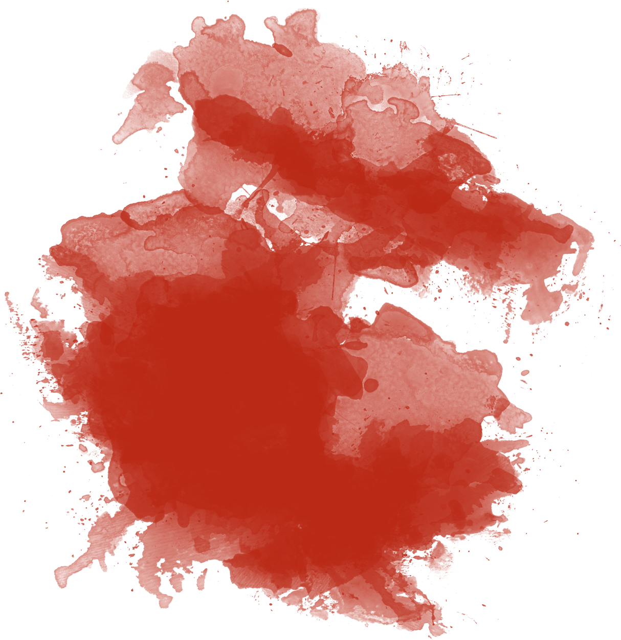 Deku Shaman - Art Print: Don't Be Afraid To Dream By Jelena Matic (1500x1500), Png Download