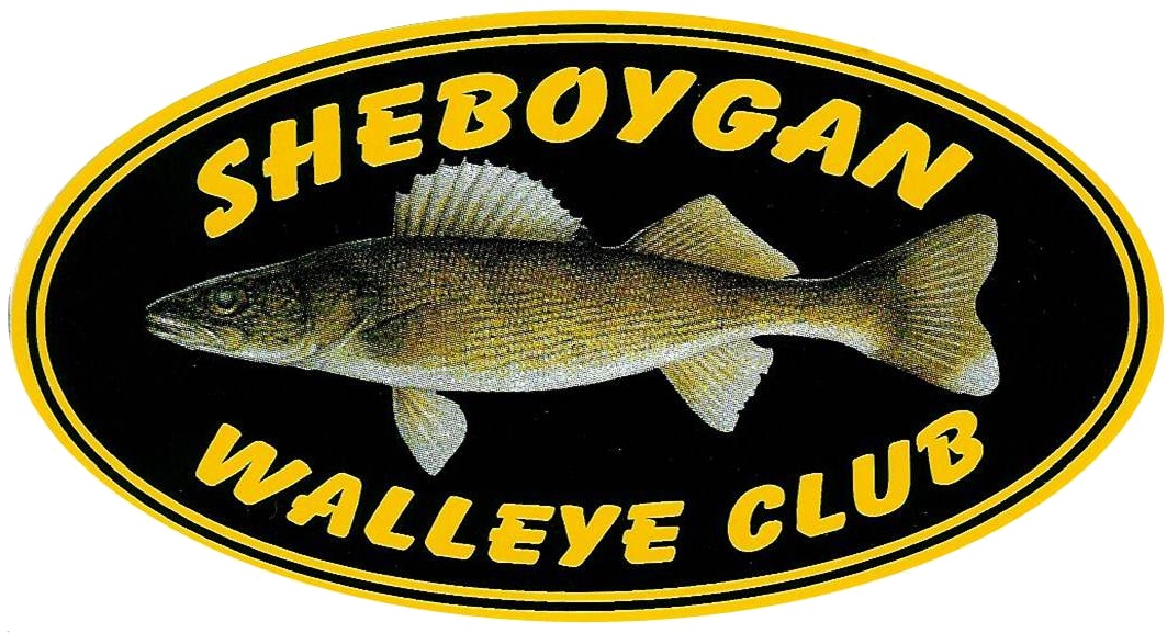 Sheboygan Walleye Club Rules - Sea Bass (1137x642), Png Download