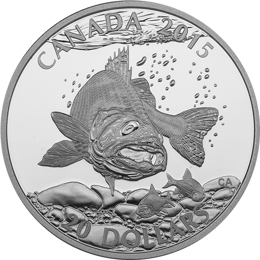 Fine Silver Coin - Silver (570x570), Png Download