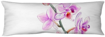 Orchid Flowers Watercolor Hand Drawn Botanical Illustration - Cushion (400x400), Png Download
