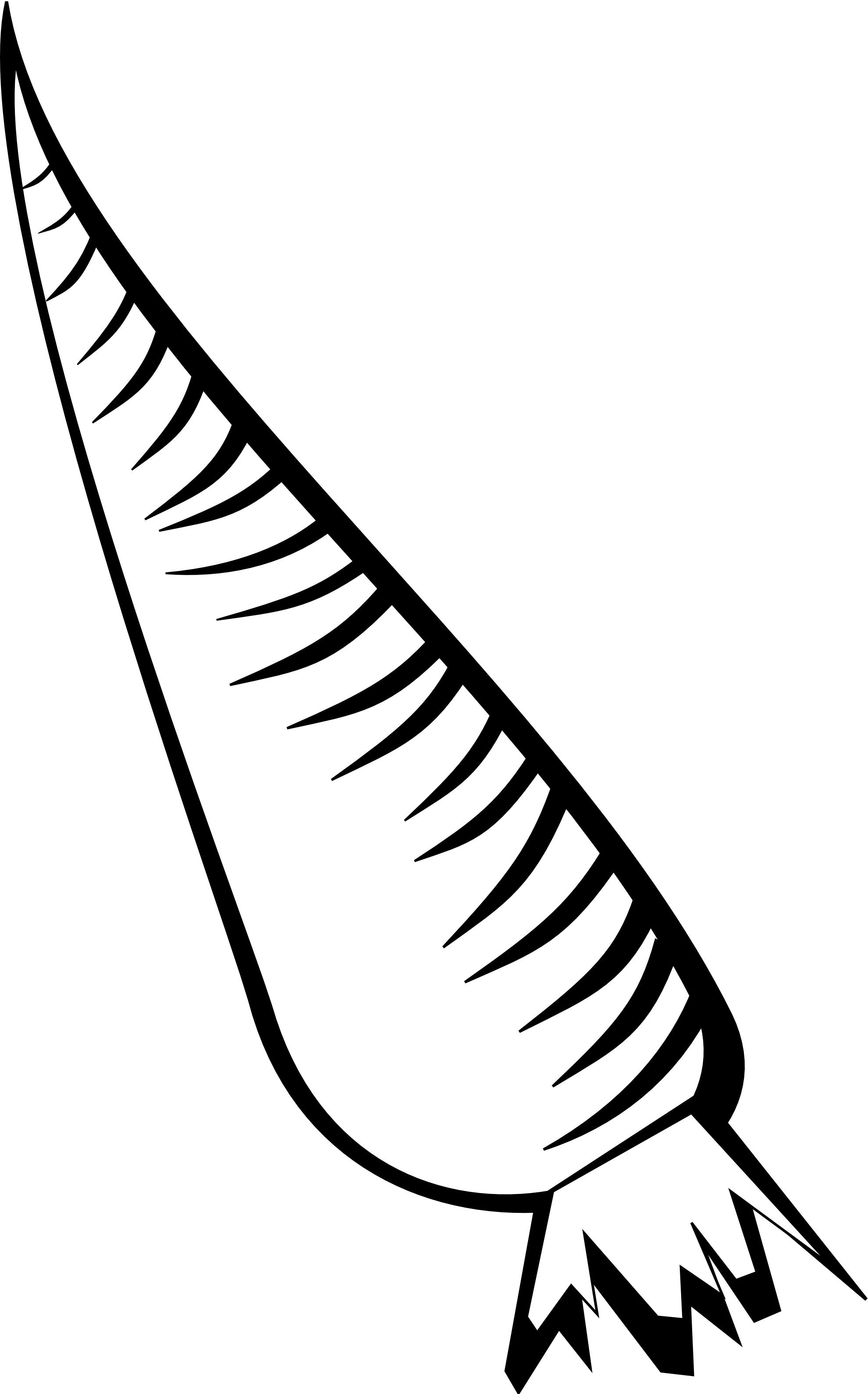 Carrot Clipart Line Drawing - Carrot Clipart Black And White (1979x3178), Png Download