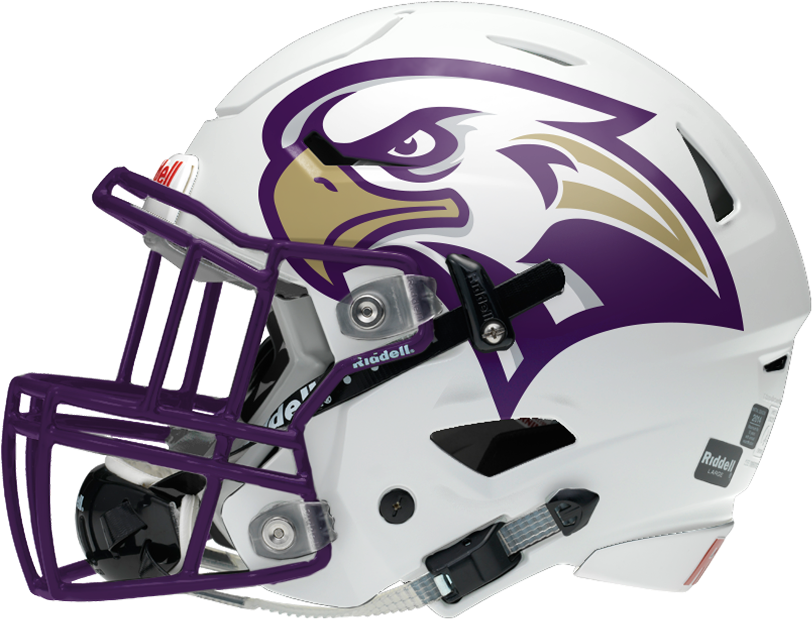 1 Helmet - Charlotte 49ers Football Helmet (1800x1800), Png Download