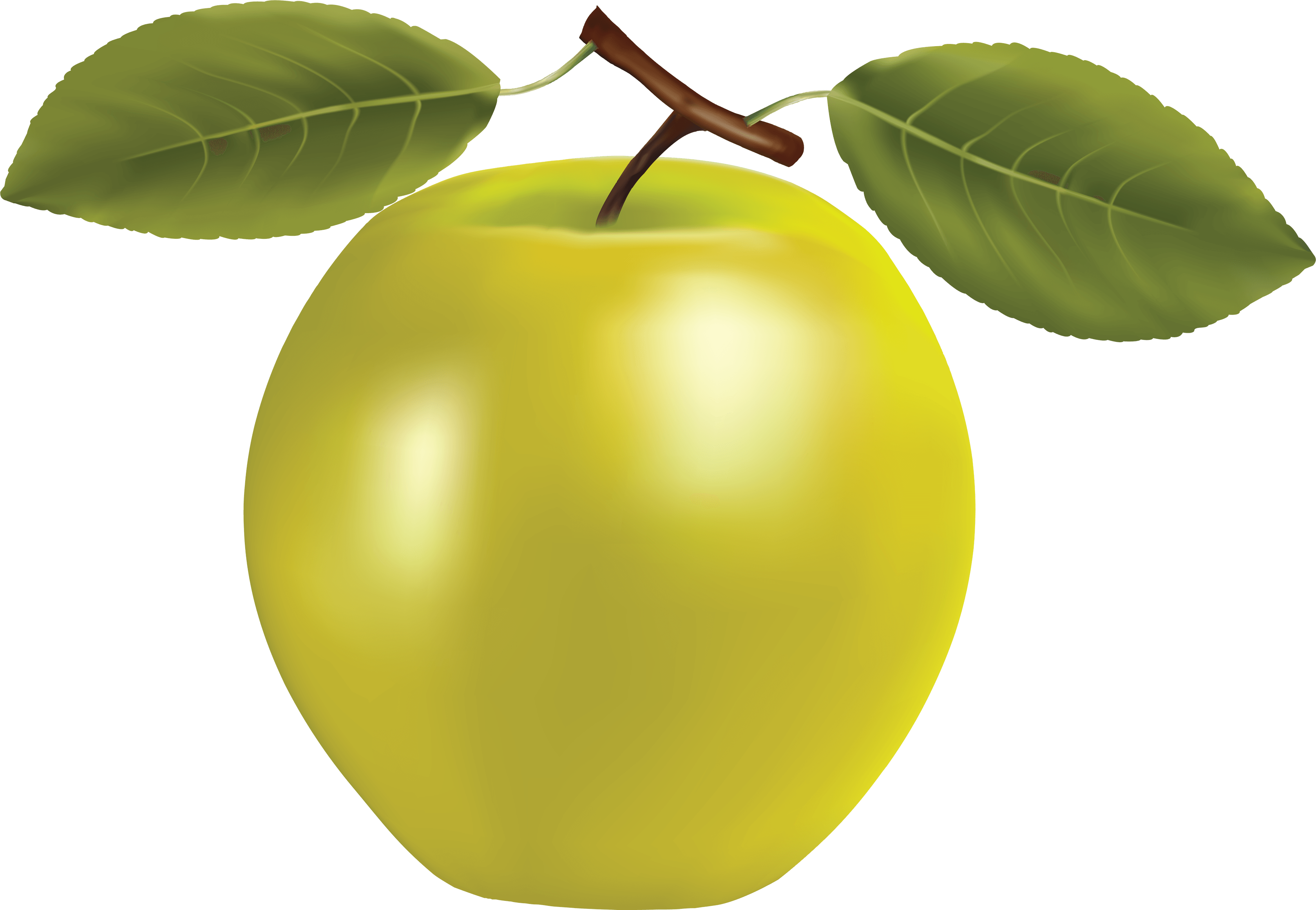 Yellow Apple Png (3478x2404), Png Download