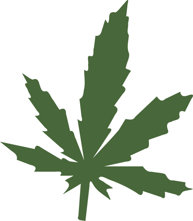 Medical Cannabis Leaf Cannabis Sativa Hemp - Marijuana Clipart (654x750), Png Download
