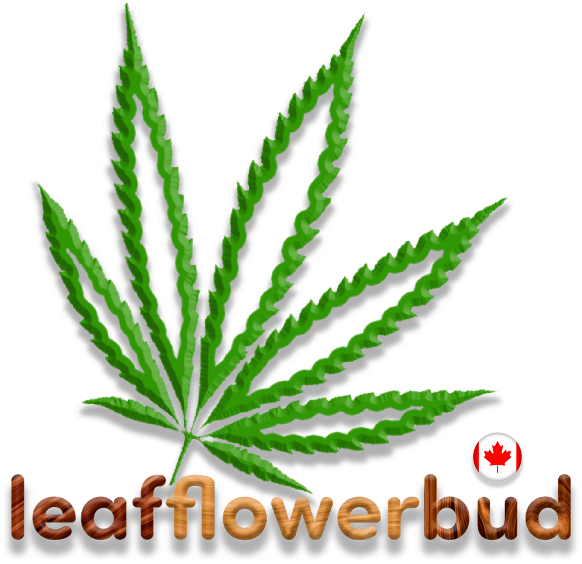 Leaf, Flower, Bud On Twitter - Canada (1200x1192), Png Download