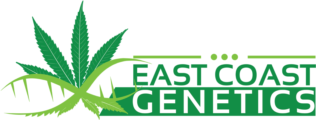 Looking To Grow Your Own Strain - Marijuana Leaf (1100x445), Png Download