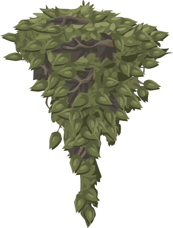 Leaf Hemp Plants Nature Landscape - Leaf (570x750), Png Download