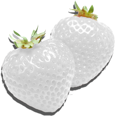 Infodump Daily Banner Royalty Free - White Aesthetic Tumblr Png (500x500), Png Download