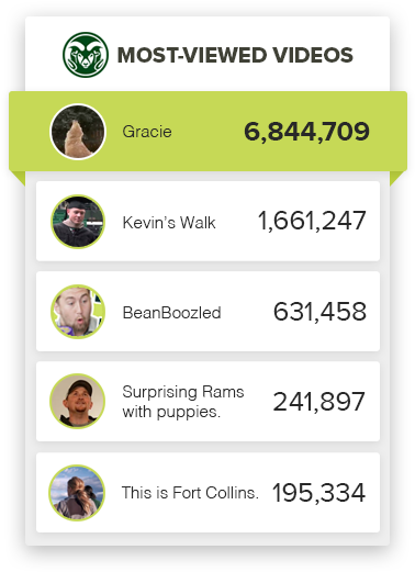 Gracie The Golden - Colorado State University (426x570), Png Download