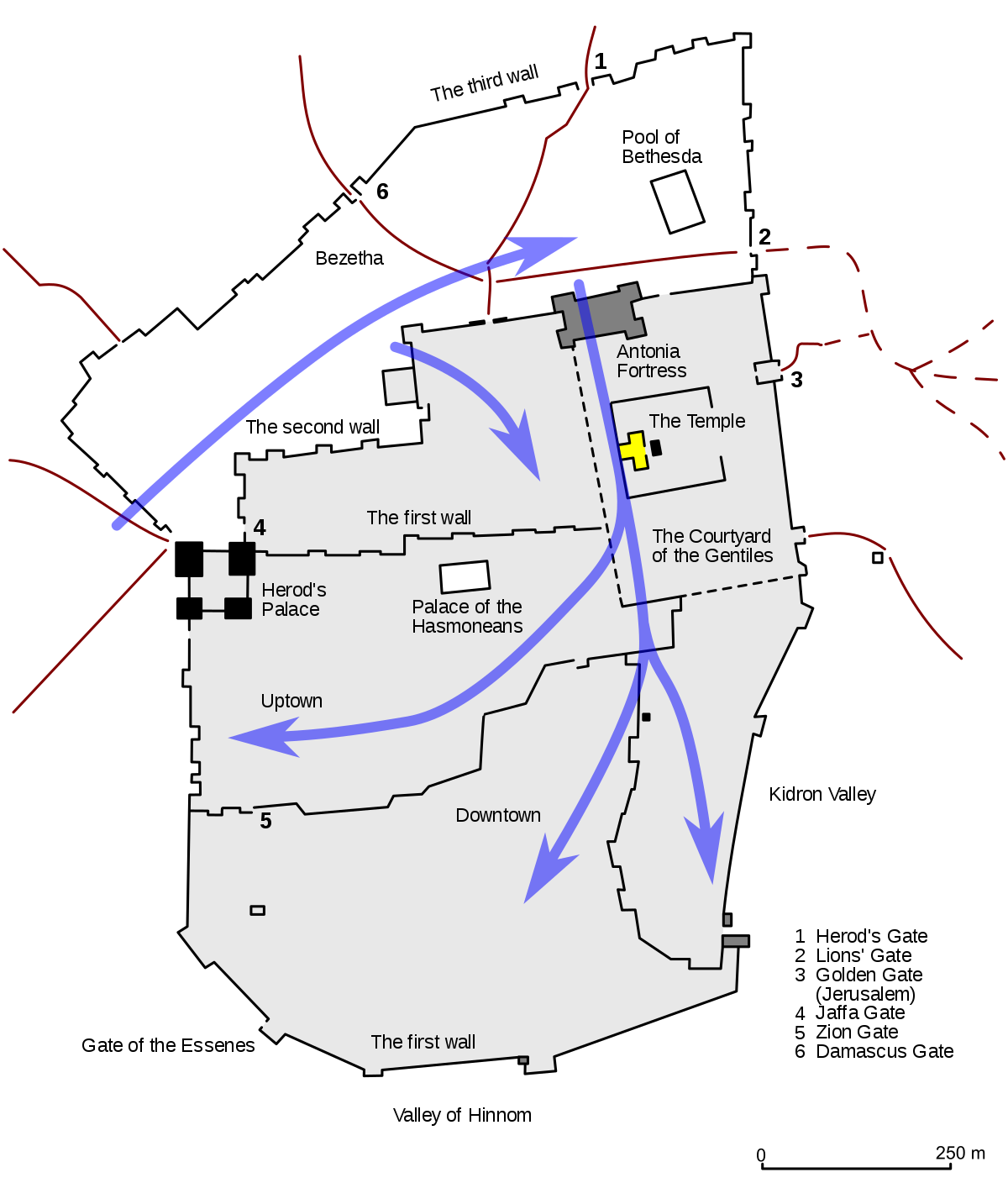 Products - Coffee Cup (700x700), Png Download