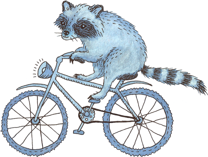 Raccoon On A Bicycle By Madeleizoo On Deviantart Jpg - Animal On Bike Png (900x740), Png Download