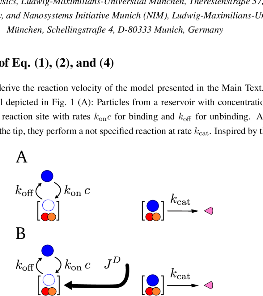 Particles From A Reservoir With Concentration C Bind - Chemical Reaction (850x978), Png Download