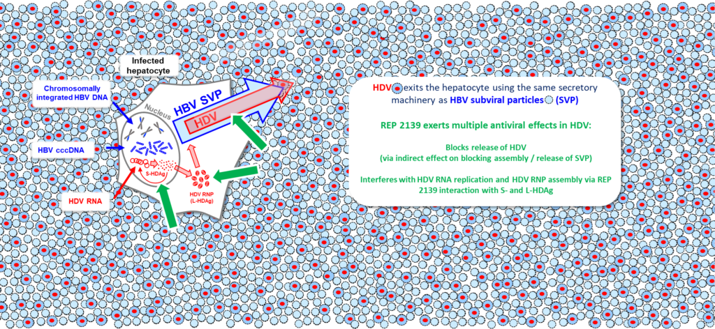 Number (1024x472), Png Download