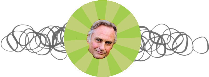 The Meme Phenomenon - Understanding Evolution: History, Theory, Evidence, (900x300), Png Download