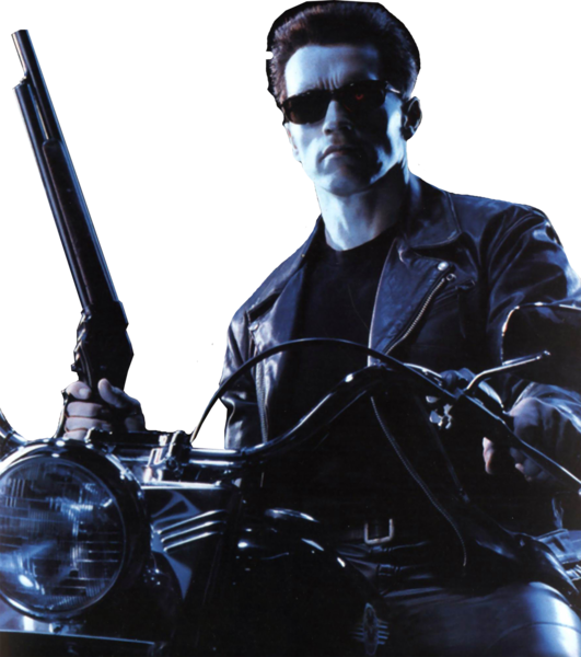 Terminator 2 Png - Terminator 2 Arnold Png (531x600), Png Download