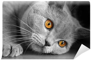 Painting (400x400), Png Download