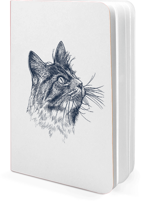 Download Dailyobjects Cat Eye A6 Notebook Plain Buy Online In Sketch Png Image With No Background Pngkey Com