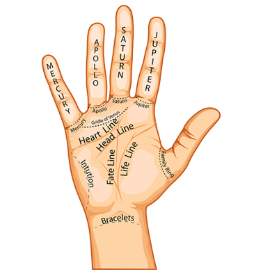 Palm Reading - Do Your Hand Lines Say About You (379x395), Png Download