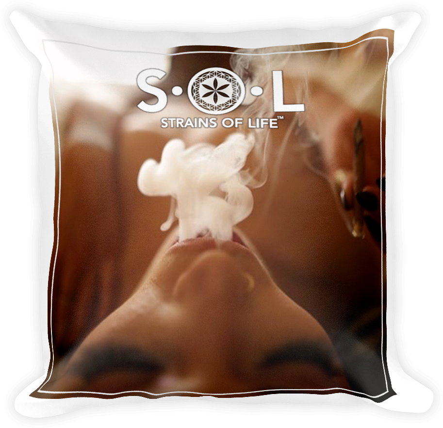 'satisfy Your S - Pillow (1000x1000), Png Download