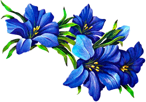 10 Flowers For Mom, Painting Patterns, Clipart Images, - Лилия С 8 Марта (484x339), Png Download