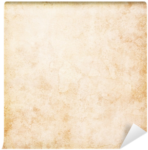 Empty Old Paper Parchment Vintage Background Wall Mural - Vellum (400x400), Png Download