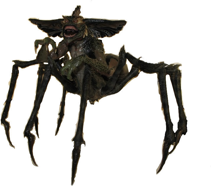 Mohawk - Gremlin Spider (900x675), Png Download