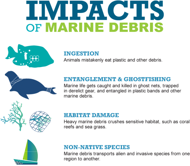 Impacts Of Marine Debris - Mps: Best Practices For Buyers And Sellers Tput Optimization (699x600), Png Download