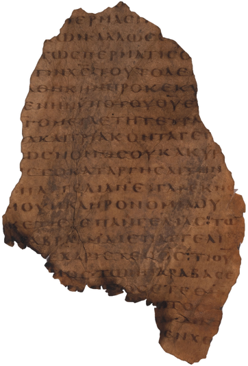 Notice The Wide Spacing In Between Letters, The Lining - Chocolate Cake (362x533), Png Download