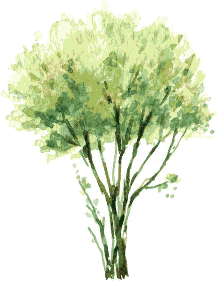 Vector Free Painting Tree Illustration Trees Treetrees - Watercolor Trees Png (1000x1000), Png Download