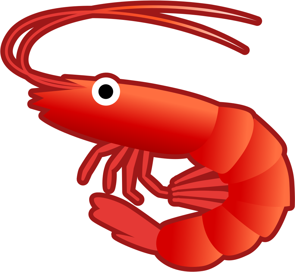 Shrimp Icon - Shrimp Png (1024x1024), Png Download