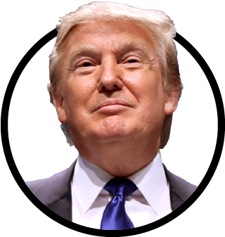 Trump Smiling Png - Transparent Donald Trump Gif (500x500), Png Download