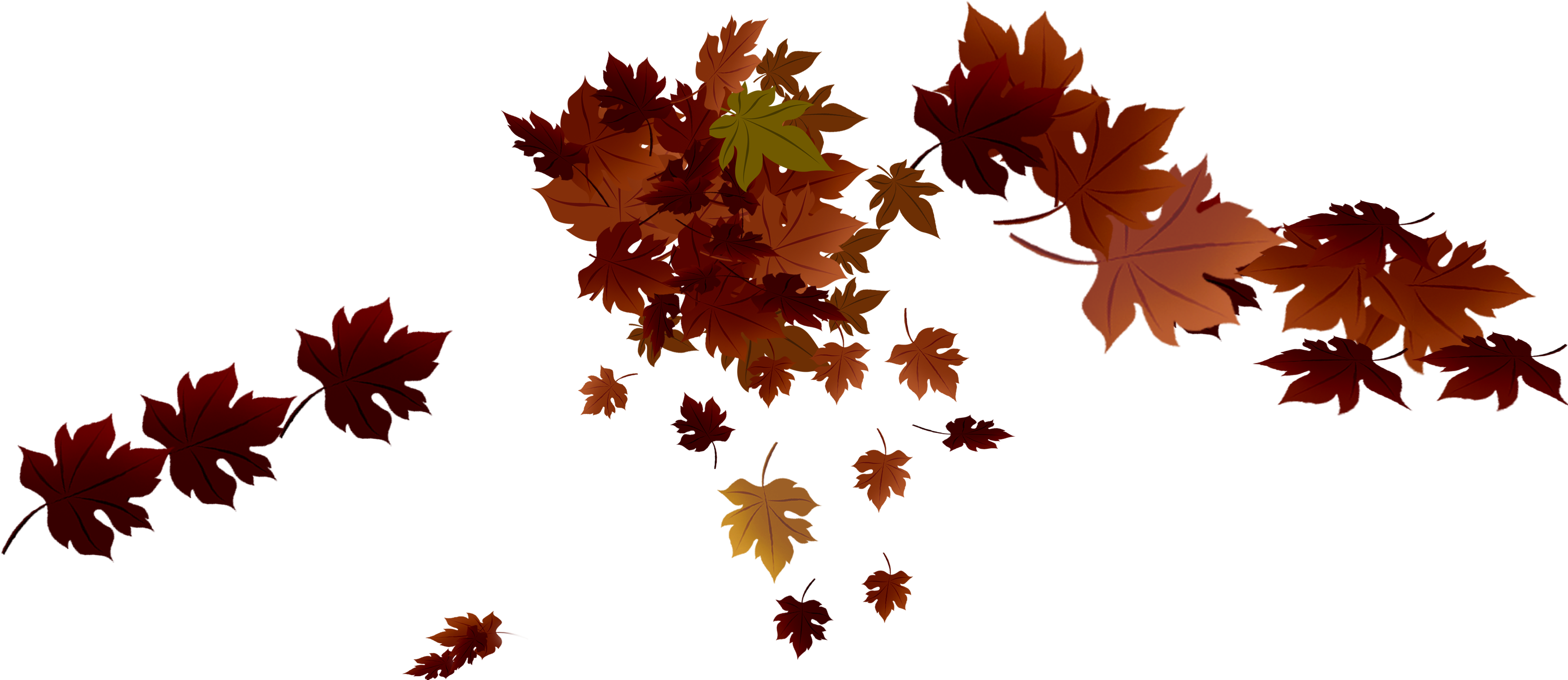 Leaves Png (3305x1488), Png Download