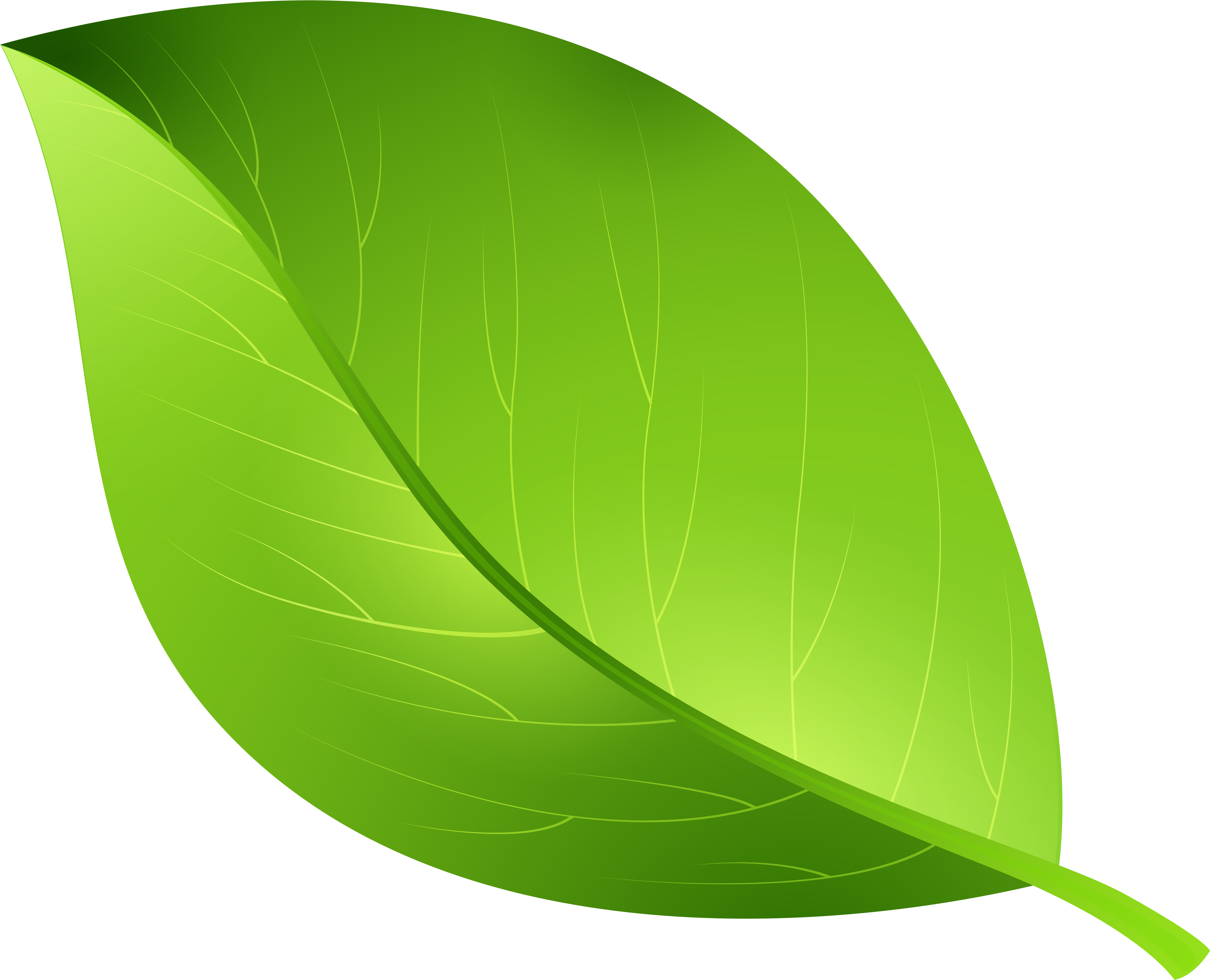Green Leaf Transparent Png Clip Art Image - Leaf Clipart Transparent Background (600x491), Png Download