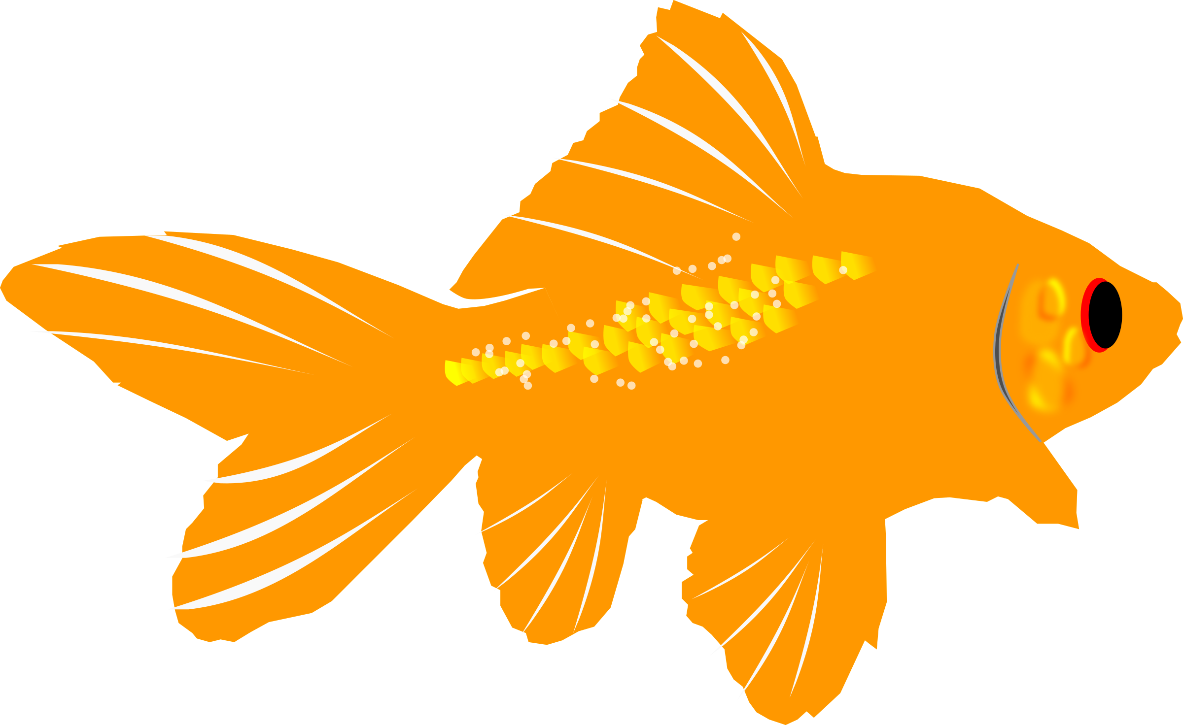 Clipart - Goldfish - Goldfish (2400x1472), Png Download