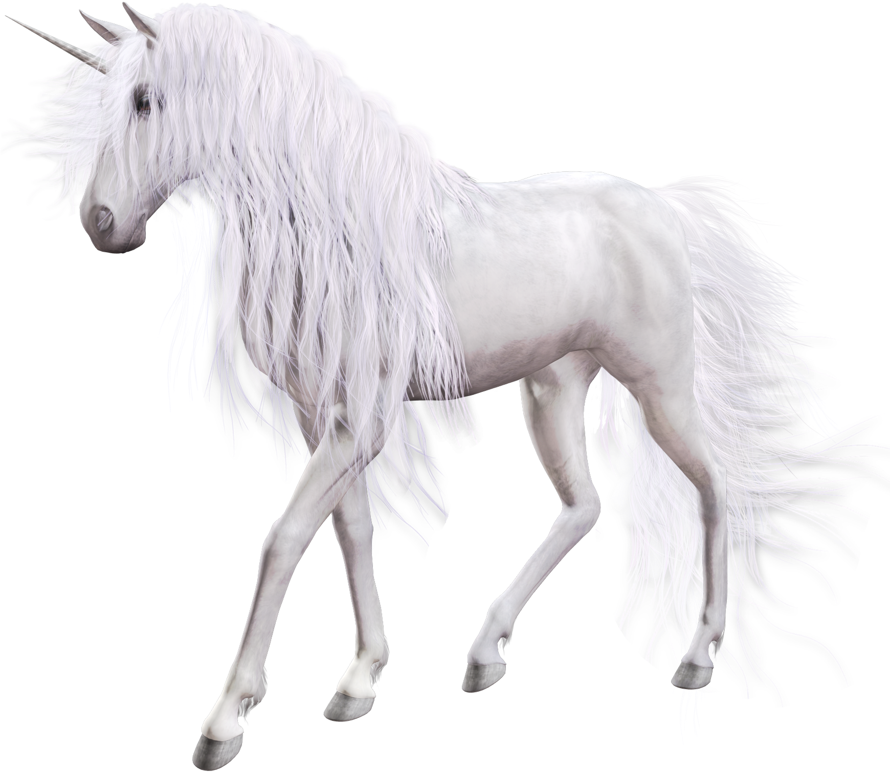 Transparent Background White Unicorn (1750x1750), Png Download