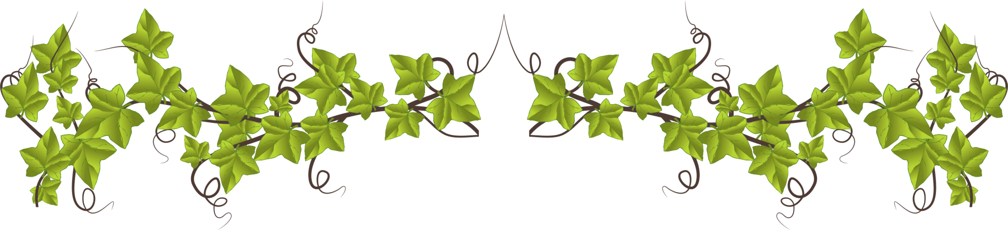 Leaf Grasses Plant Stem Plants Ecology - Silent Child To A Woman With A Voice (3286x750), Png Download