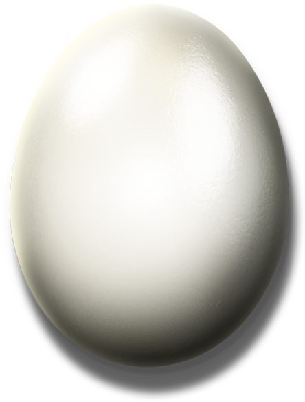 White Egg Png - Adobe Photoshop (800x600), Png Download